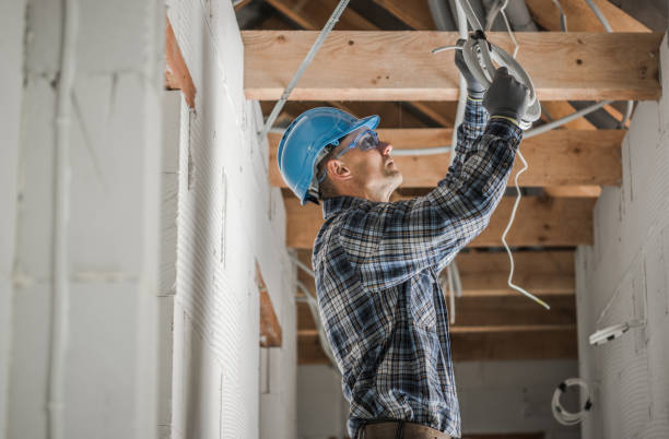 Best Local Electrician Companies  in Muscoda, WI